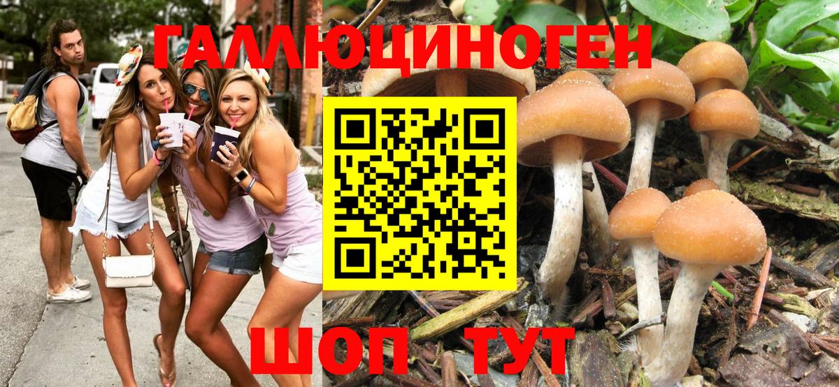 Псилоцибиновые грибы GOLDEN TEACHER Серпухов